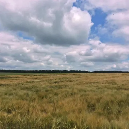 Cosy Flat On A Family Friendly Farm In Northern Hesse 特伦德尔堡