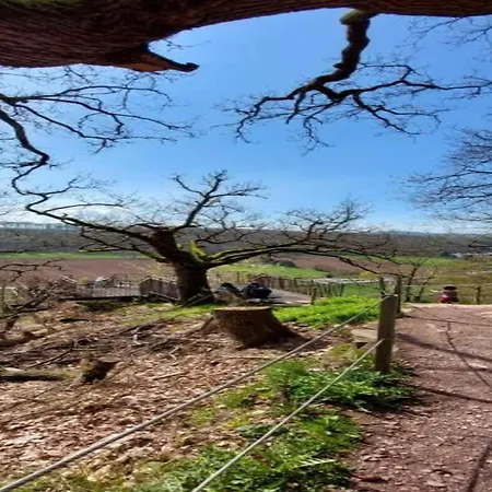 Cosy Flat On A Family Friendly Farm In Northern Hesse 度假居 特伦德尔堡