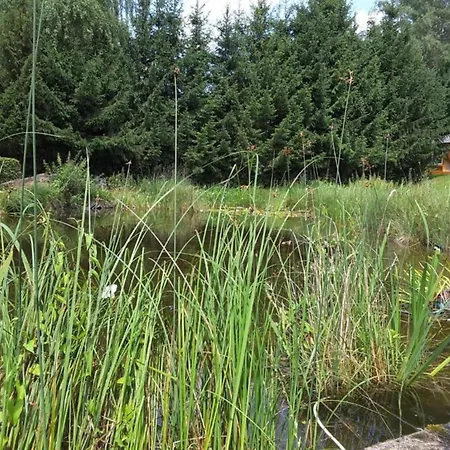 Cosy Flat On A Family Friendly Farm In Northern Hesse *