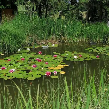 度假居 Cosy Flat On A Family Friendly Farm In Northern Hesse *