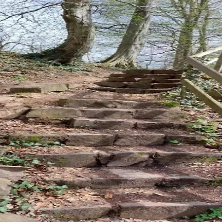 Cosy Flat On A Family Friendly Farm In Northern Hesse 特伦德尔堡