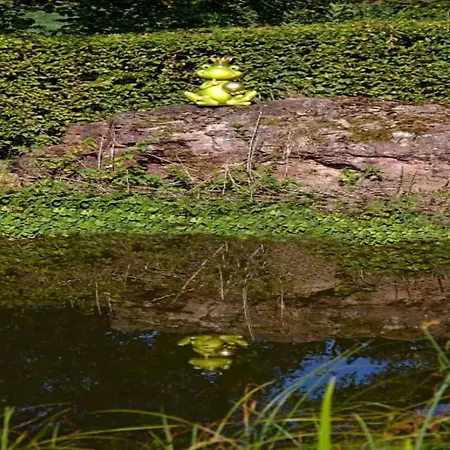 Cosy Flat On A Family Friendly Farm In Northern Hesse 度假居 特伦德尔堡