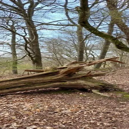 Cosy Flat On A Family Friendly Farm In Northern Hesse *