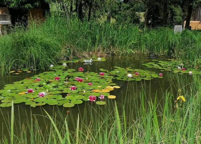 Nyaraló Cosy Flat On A Family Friendly Farm In Northern Hesse *