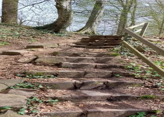 Cosy Flat On A Family Friendly Farm In Northern Hesse Trendelburg