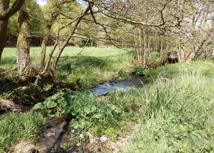 Nyaraló Cosy Flat On A Family Friendly Farm In Northern Hesse Trendelburg